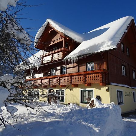 Linarhof Apartment Urlaub Am Bio Bauernhof Haus im Ennstal Εξωτερικό φωτογραφία