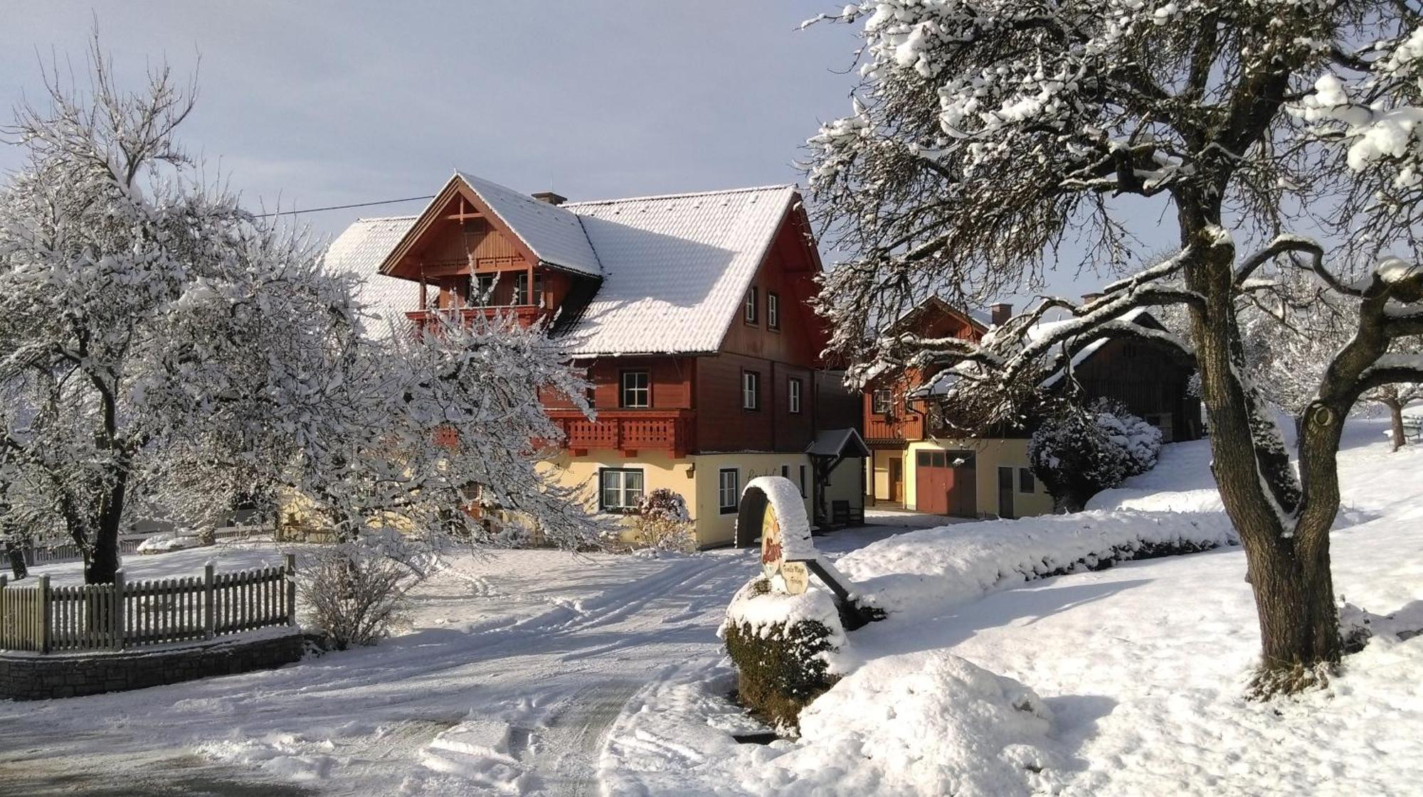 Linarhof Apartment Urlaub Am Bio Bauernhof Haus im Ennstal Εξωτερικό φωτογραφία