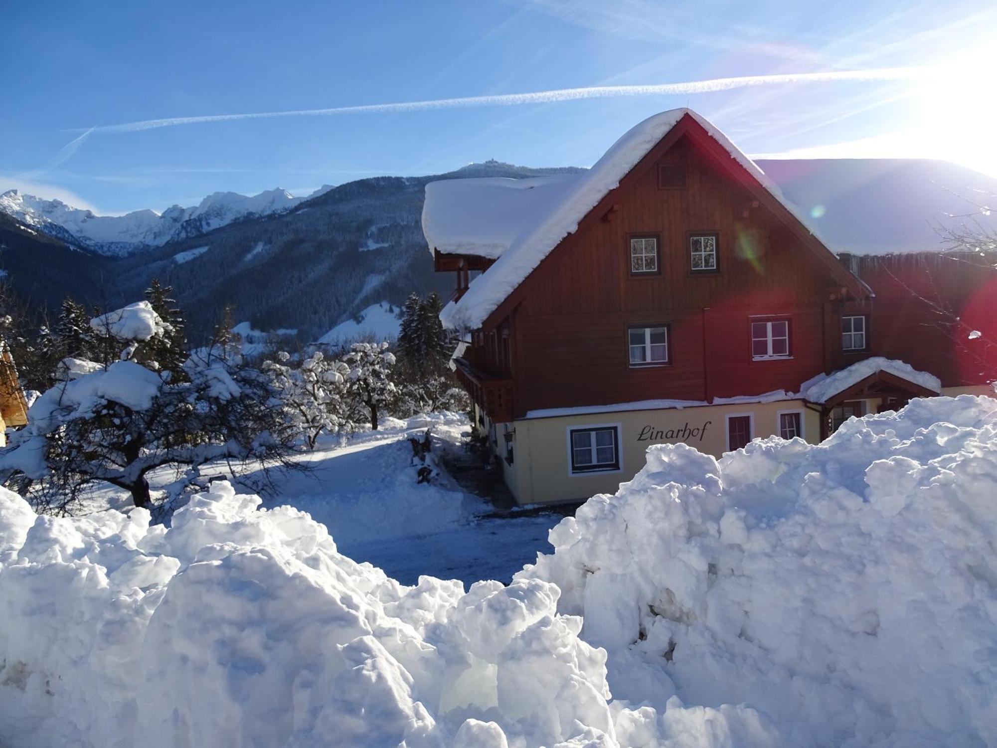 Linarhof Apartment Urlaub Am Bio Bauernhof Haus im Ennstal Εξωτερικό φωτογραφία