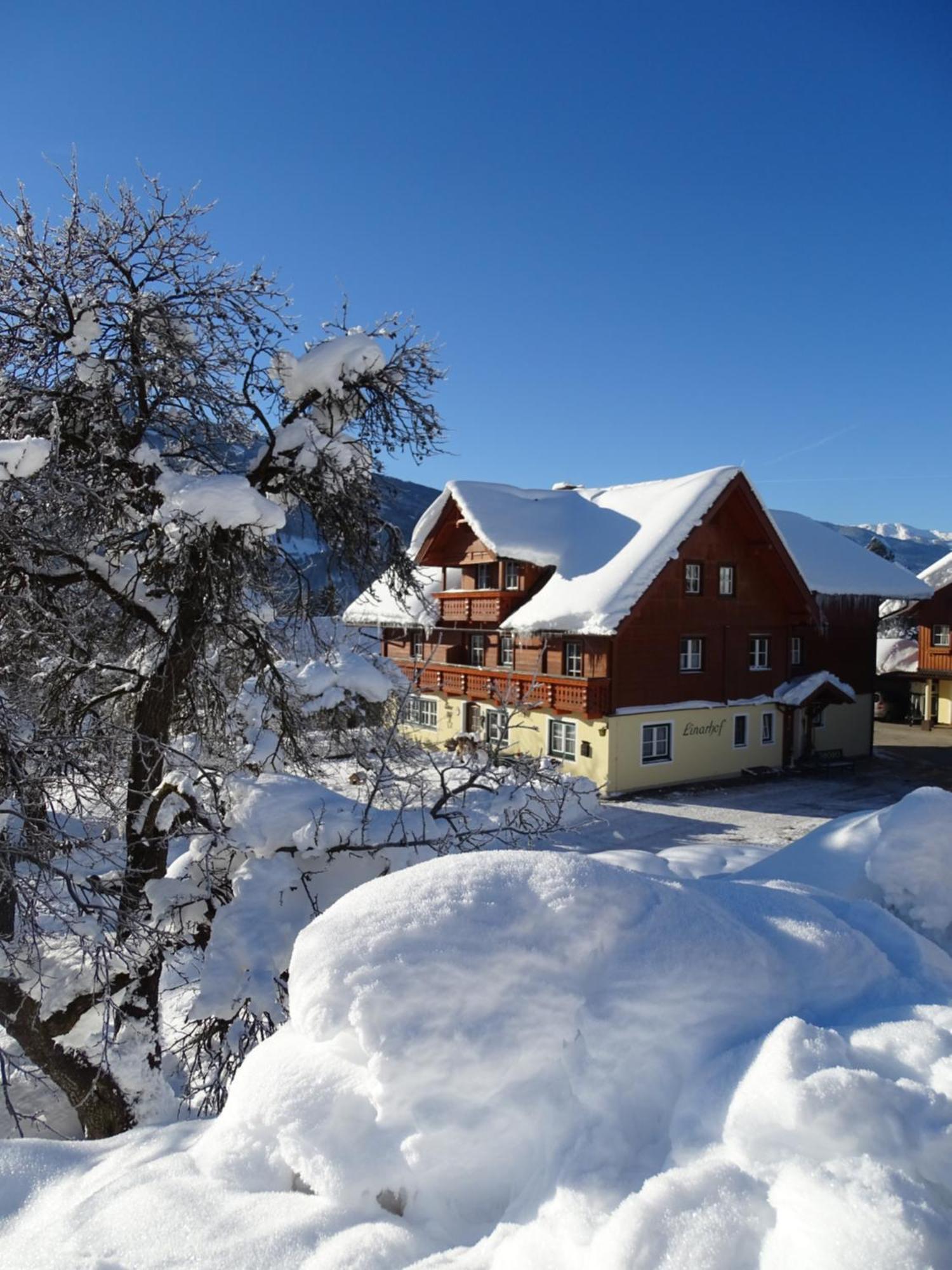 Linarhof Apartment Urlaub Am Bio Bauernhof Haus im Ennstal Εξωτερικό φωτογραφία