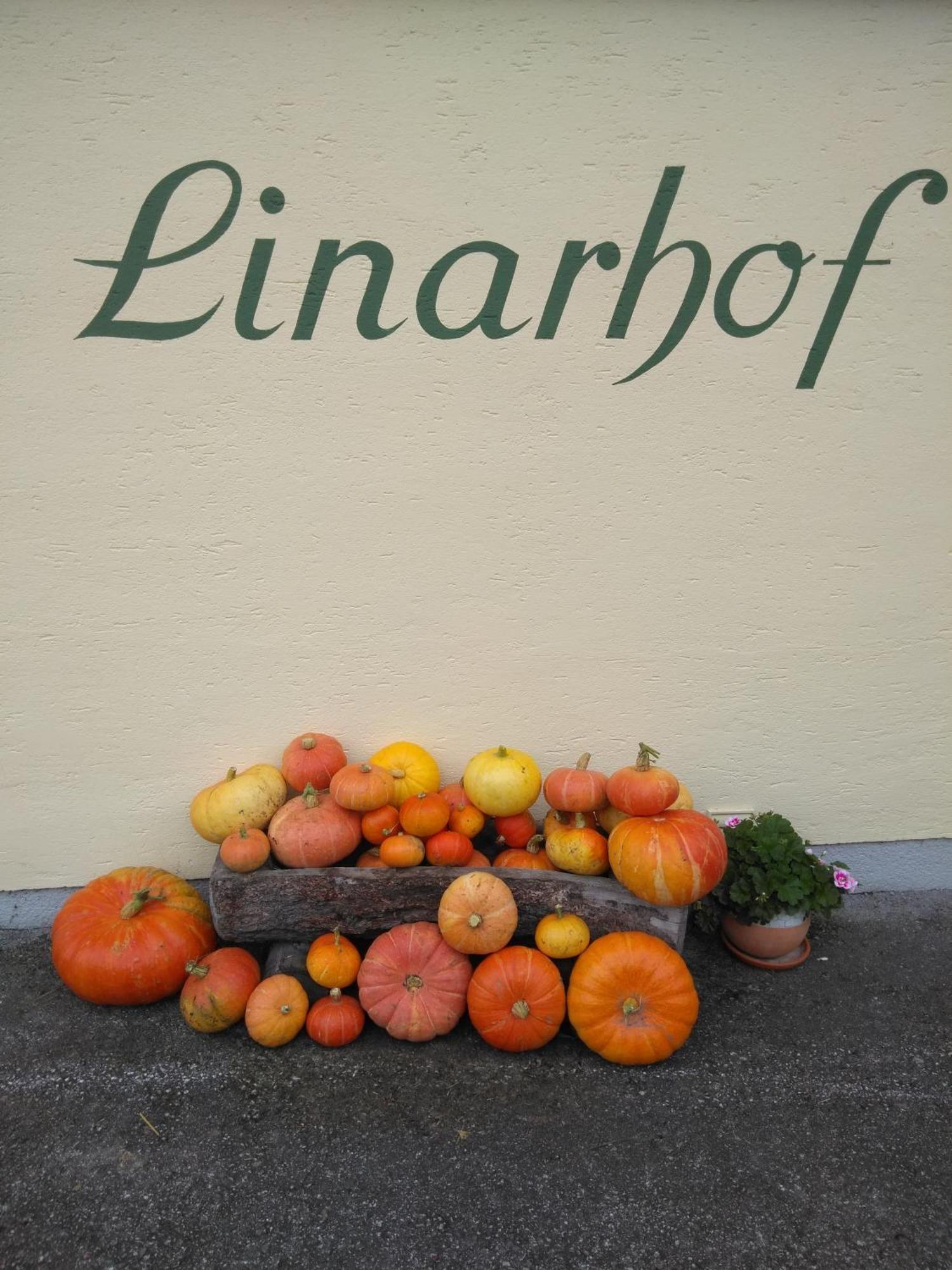 Linarhof Apartment Urlaub Am Bio Bauernhof Haus im Ennstal Εξωτερικό φωτογραφία