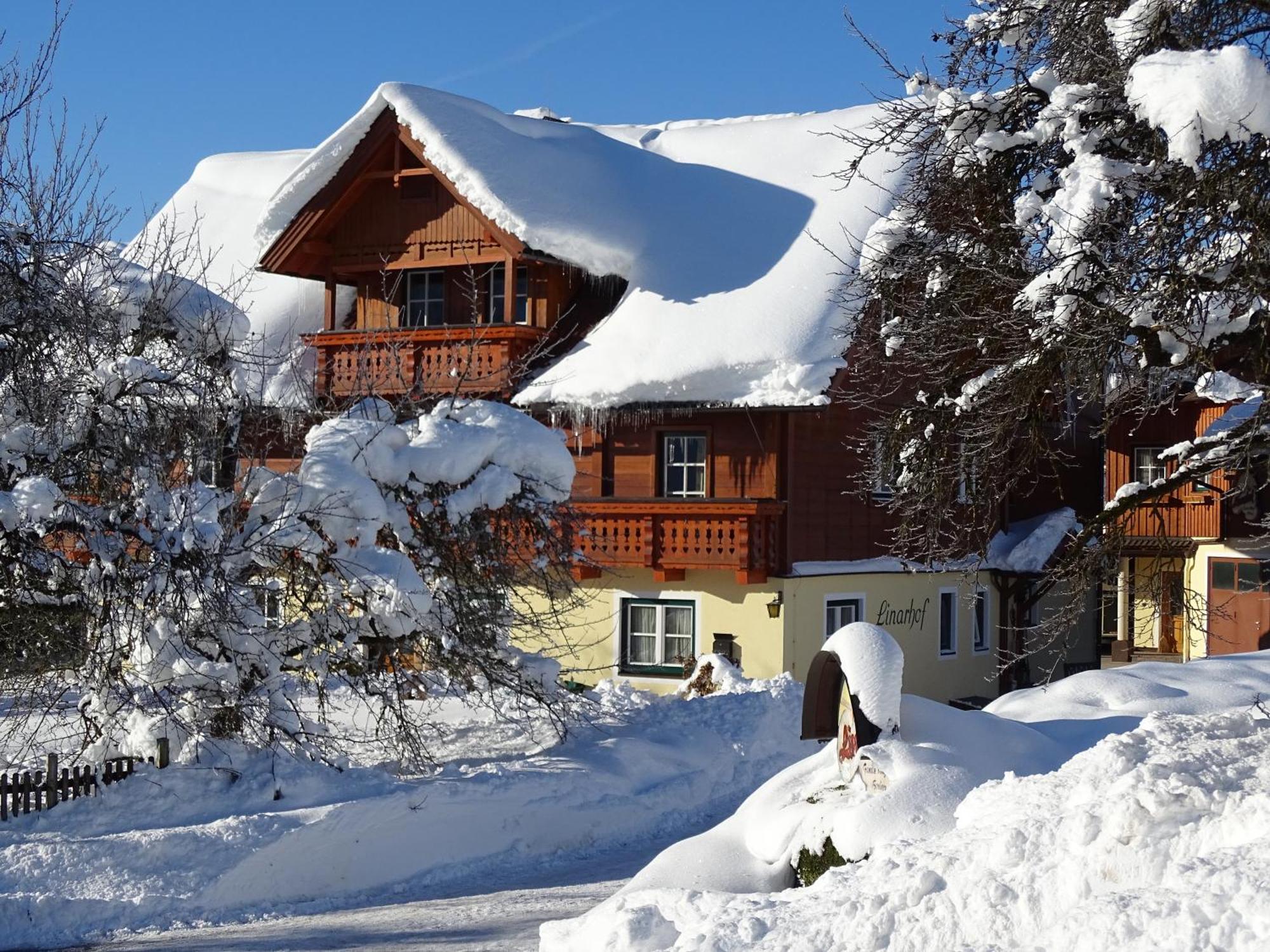 Linarhof Apartment Urlaub Am Bio Bauernhof Haus im Ennstal Εξωτερικό φωτογραφία