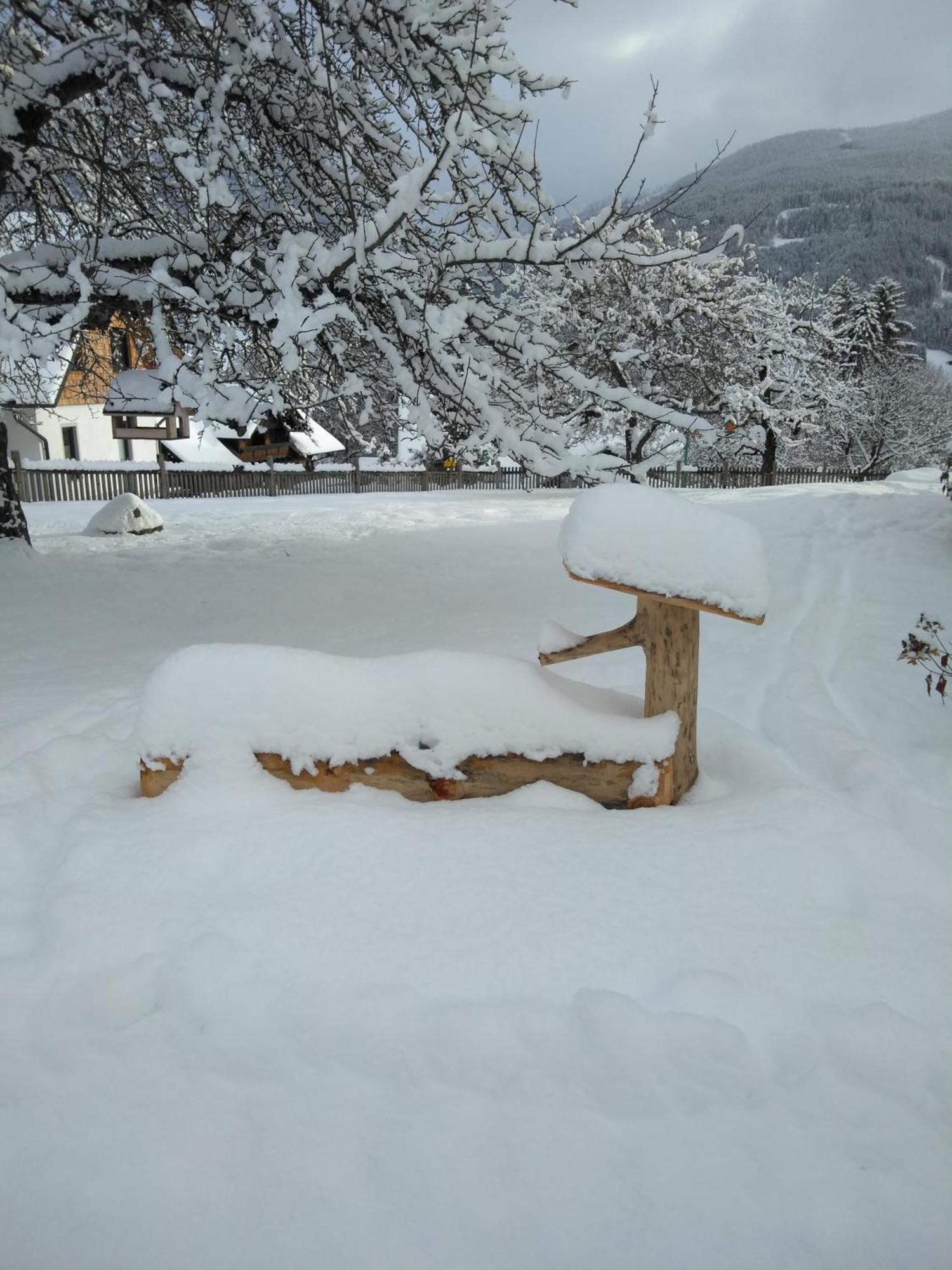Linarhof Apartment Urlaub Am Bio Bauernhof Haus im Ennstal Εξωτερικό φωτογραφία